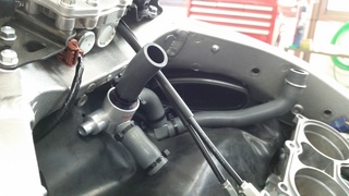 20140824_104501.jpg