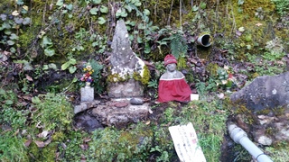 20170130_143926.jpg