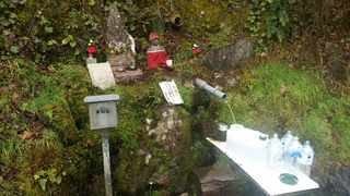 20170209_103047.jpg