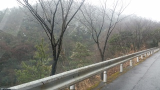 20170209_103529.jpg