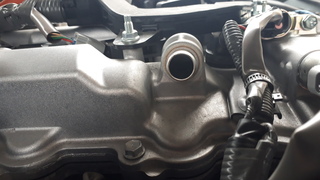 20181128_145121.jpg