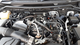 20190407_110310.jpg