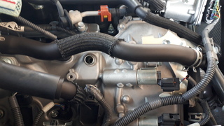 20190407_113606.jpg