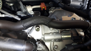 20190407_113632(0).jpg