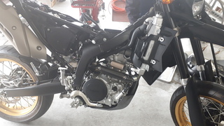 20190423_120809.jpg