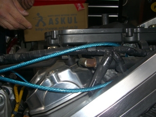 CIMG4705.JPG