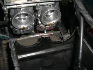 CIMG5091.JPG