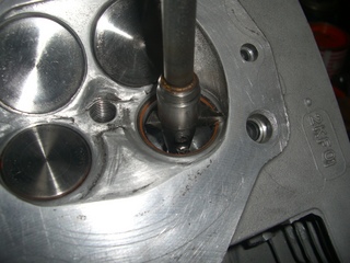 CIMG6131.JPG