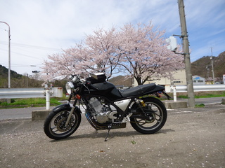 DSC00251.JPG