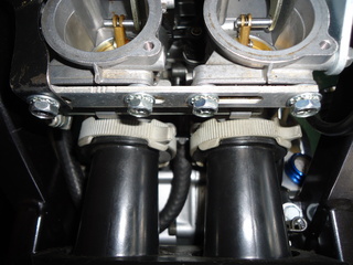 DSC00337.JPG