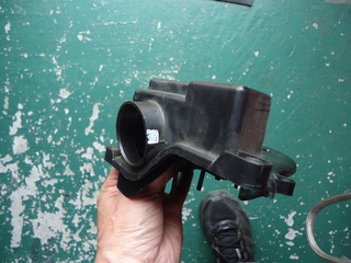 DSC00563.JPG