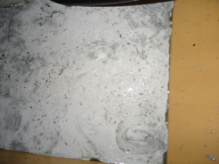 DSC01244.JPG