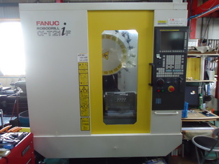 DSC01437.JPG