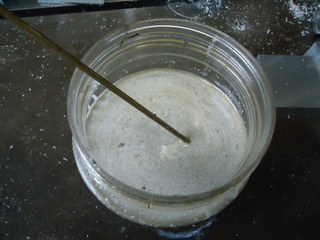 DSC01845.JPG