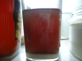 DSC01880.JPG