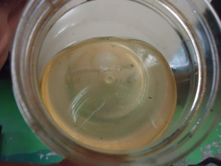 DSC01944.JPG