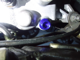 DSC02881.JPG