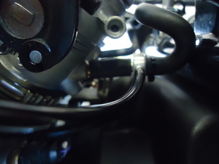 DSC04290.JPG