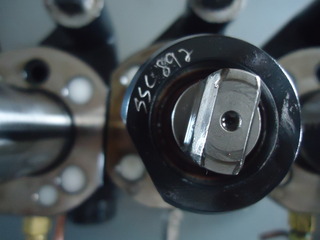 DSC04830.JPG