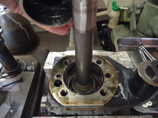 DSC04837.JPG