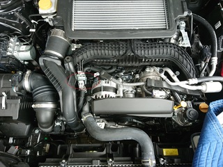 DSC_0361-2.jpg