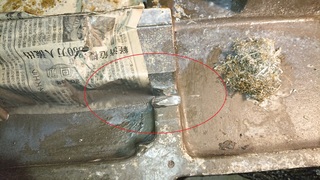 DSC_1118.JPG