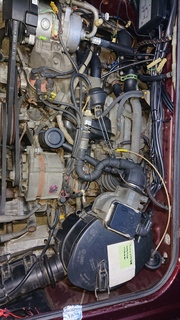DSC_6446.JPG