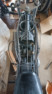 DSC_7369.JPG