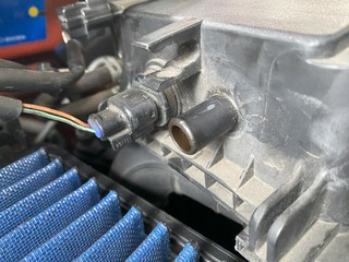 suzuki twin 6.jpg